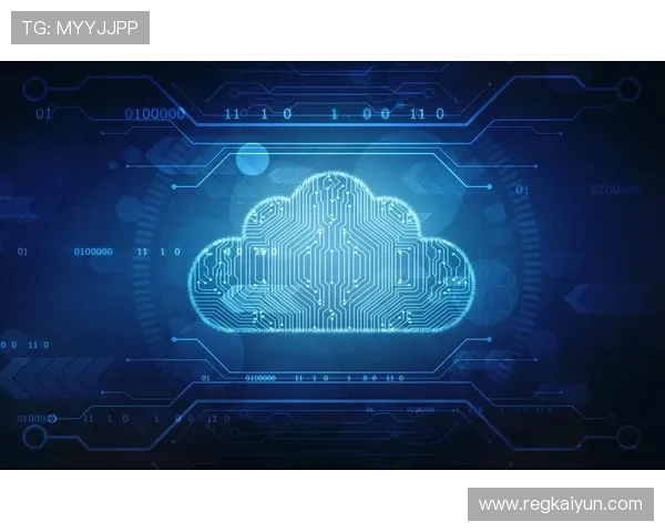 开云网站制作价格透明合理为中小企业提供性价比高的定制化网站建设方案实现成本控制